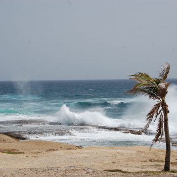 Barbados Villas